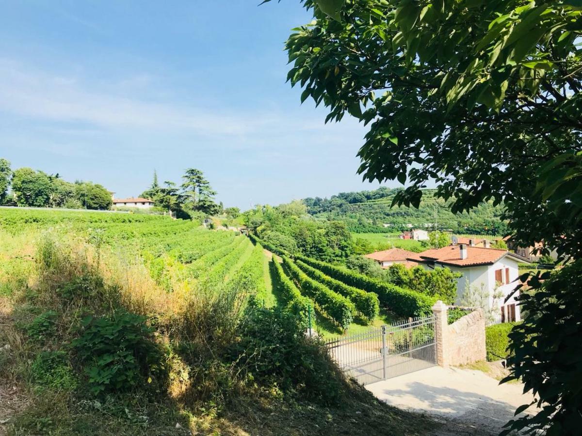 Valpolicella Homes Recioto Apartment SantʼAmbrogio di Valpolicella Buitenkant foto